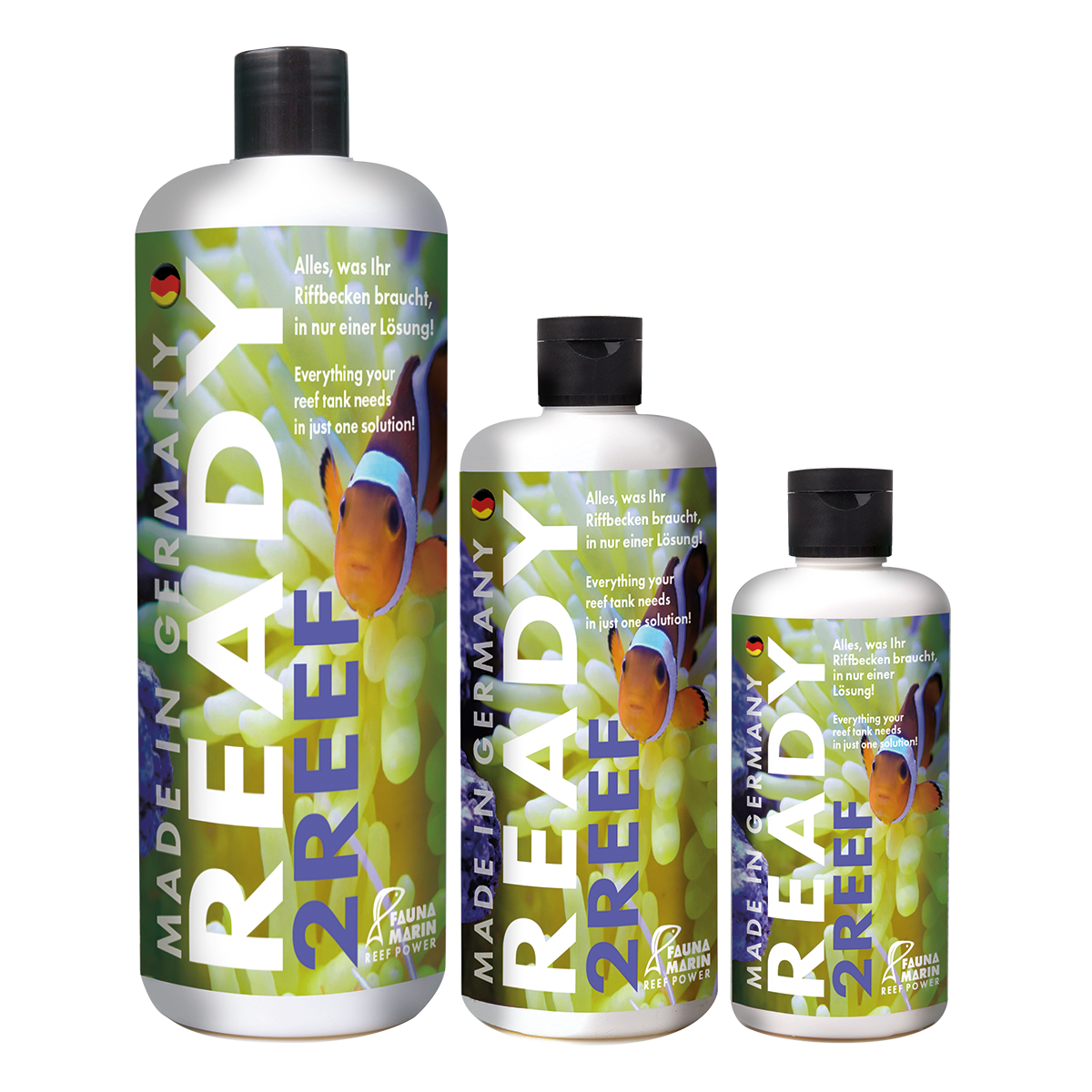 Fauna Marin Ready2Reef