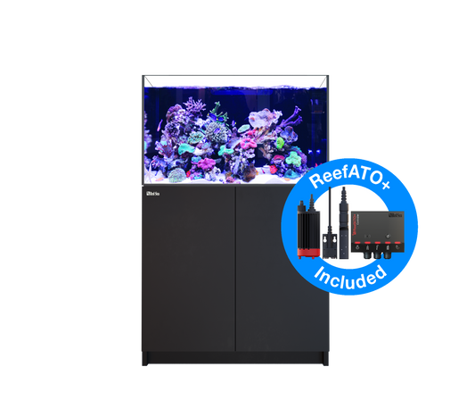 Red Sea Reefer G2+ XL300 - Black