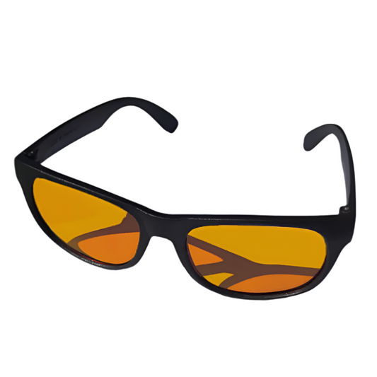 Lunettes de soleil Reef Vision