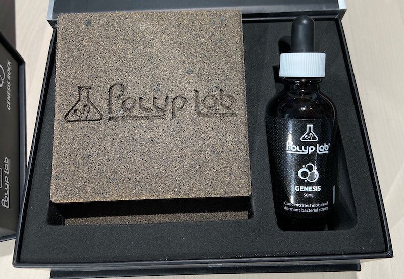 Polyp Lab Genesis Rock