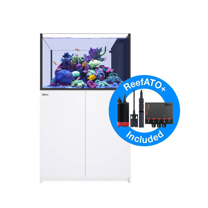 Red Sea Reefer Peninsula G2+ 350 - White