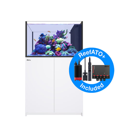 Red Sea Reefer Peninsula G2+ 350 - White