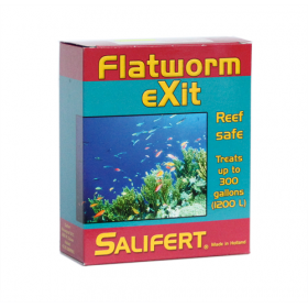 Sortie du ver plat Salifert